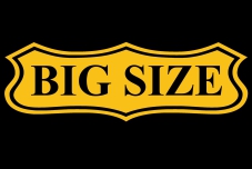 Логотип бренда BiG SiZE