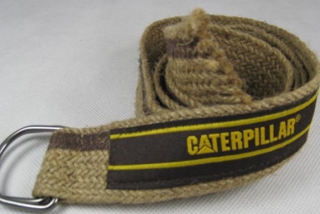 Caterpillar 0001